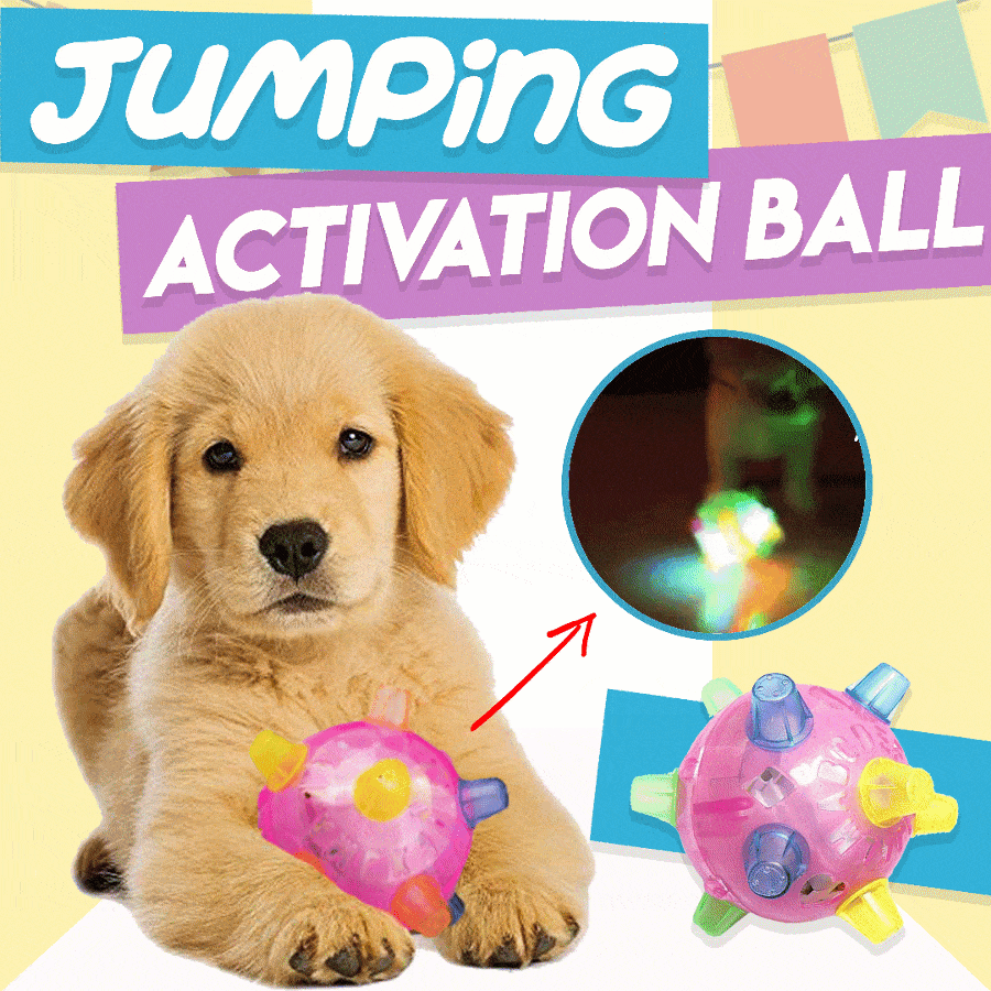 BouncyKid™ hoppetreningsball for hunder og katter - i dag 1+1 gratis 