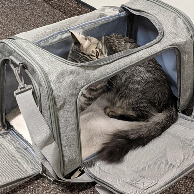 Pet-Travel™ Airline Approved Cat Carrier