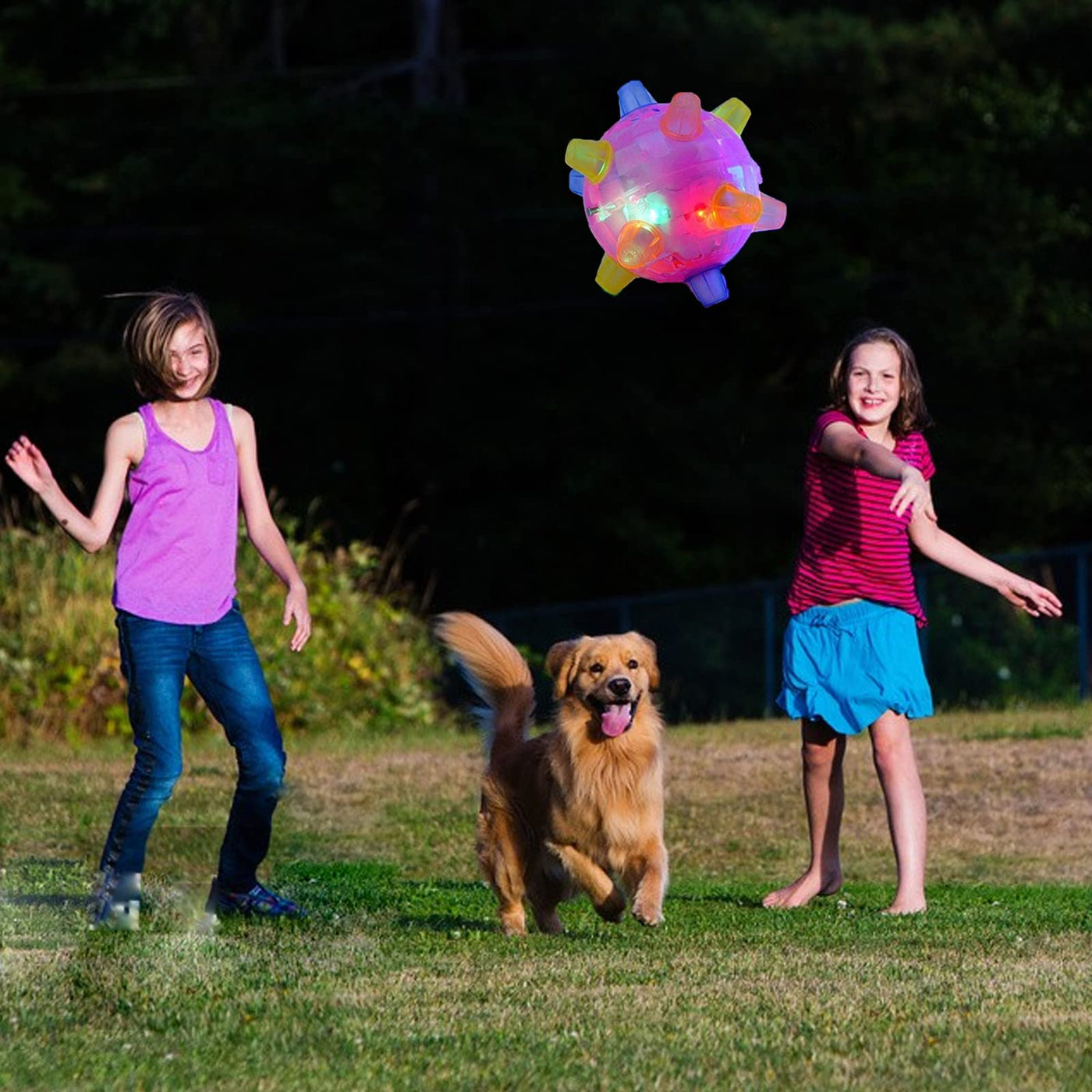BouncyKid™ hoppetreningsball for hunder og katter - i dag 1+1 gratis 